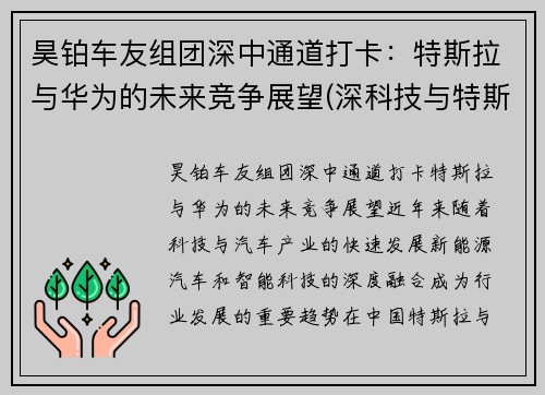 昊铂车友组团深中通道打卡：特斯拉与华为的未来竞争展望(深科技与特斯拉合作)
