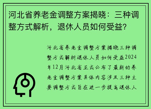 河北省养老金调整方案揭晓：三种调整方式解析，退休人员如何受益？